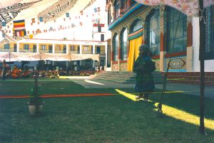 A Tibetan clown standing outside