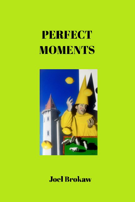 Lemon Fool book cover